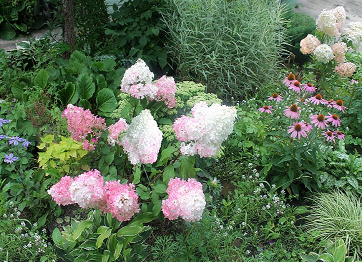 ��� ������� ����������� ���: ������� ������ ��������