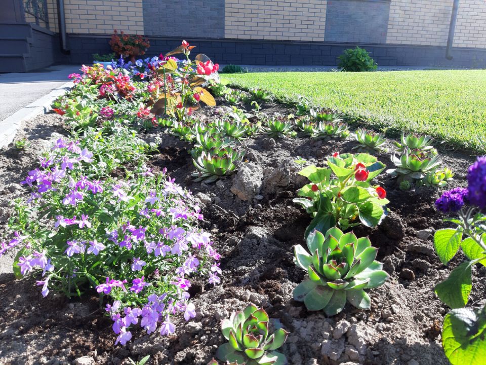 ��������� ��������: ���������� ����� � ����