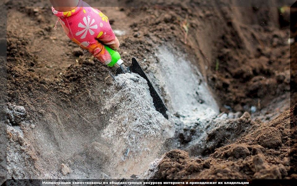 ��� ����������� ����� � ����: ������ ��� ���������