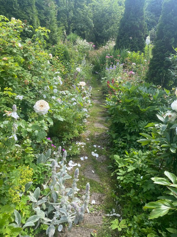 ��� ��� ��������� ��� ������� ����� �������