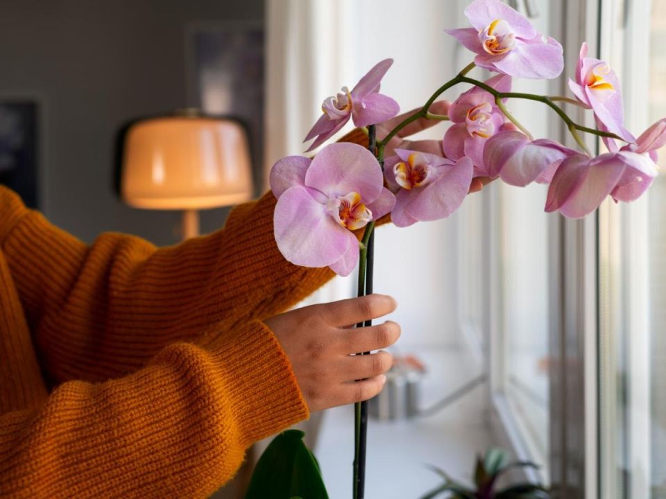 ��� ������� ���, ����� ������� ����� �������: ������������ ������������